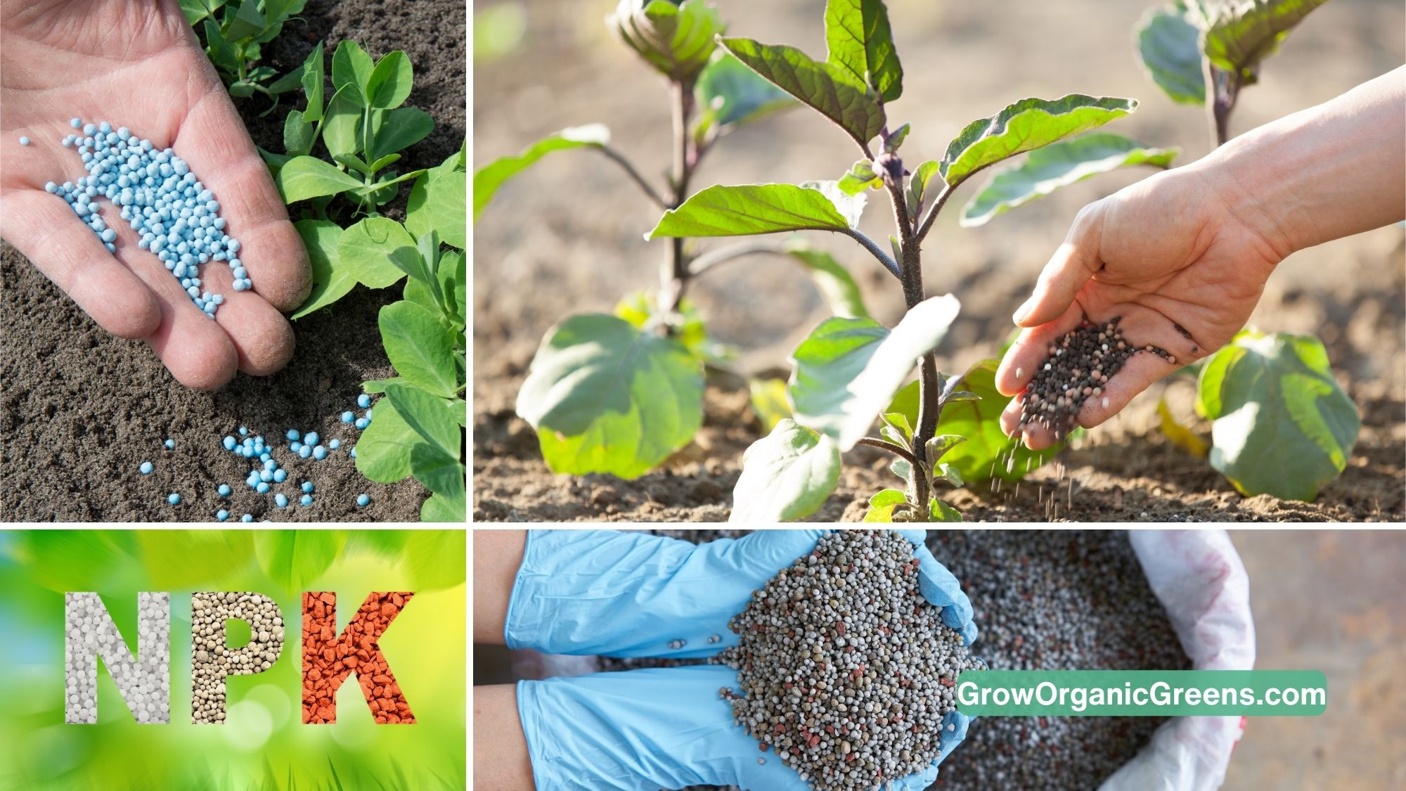 Npk Fertilizers For Plants A Complete Guide